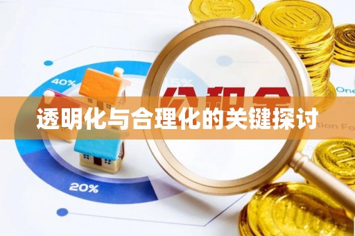 椒江透明化与合理化的关键探讨