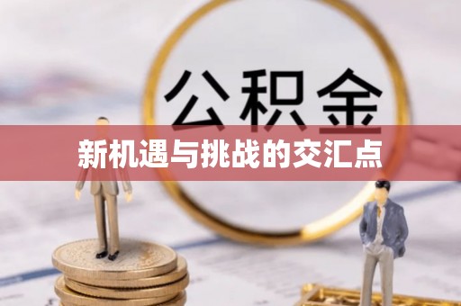 椒江新机遇与挑战的交汇点