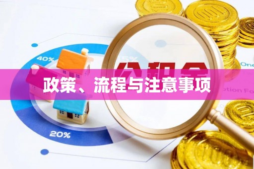椒江政策、流程与注意事项