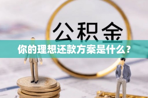 椒江你的理想还款方案是什么？