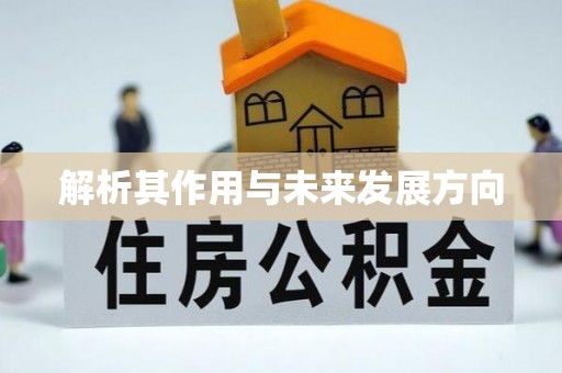 椒江解析其作用与未来发展方向