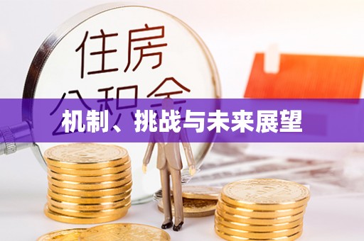 椒江机制、挑战与未来展望