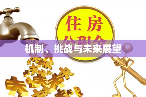 椒江机制、挑战与未来展望