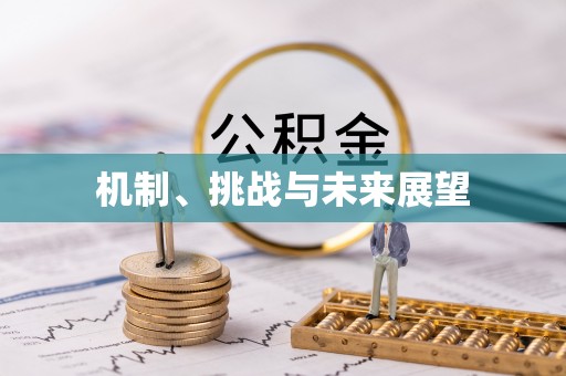 椒江机制、挑战与未来展望